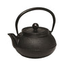 AVANTI- Hobnail Cast Iron Teapot